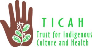 TICAH Logo long